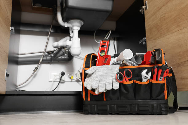 Best Local Plumber Services  in Sanford, CO